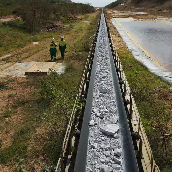 用邁世軌道巡檢機器人，海運碼頭長距離送料巡檢實現無人化